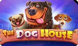 Kingbit – The Dog House